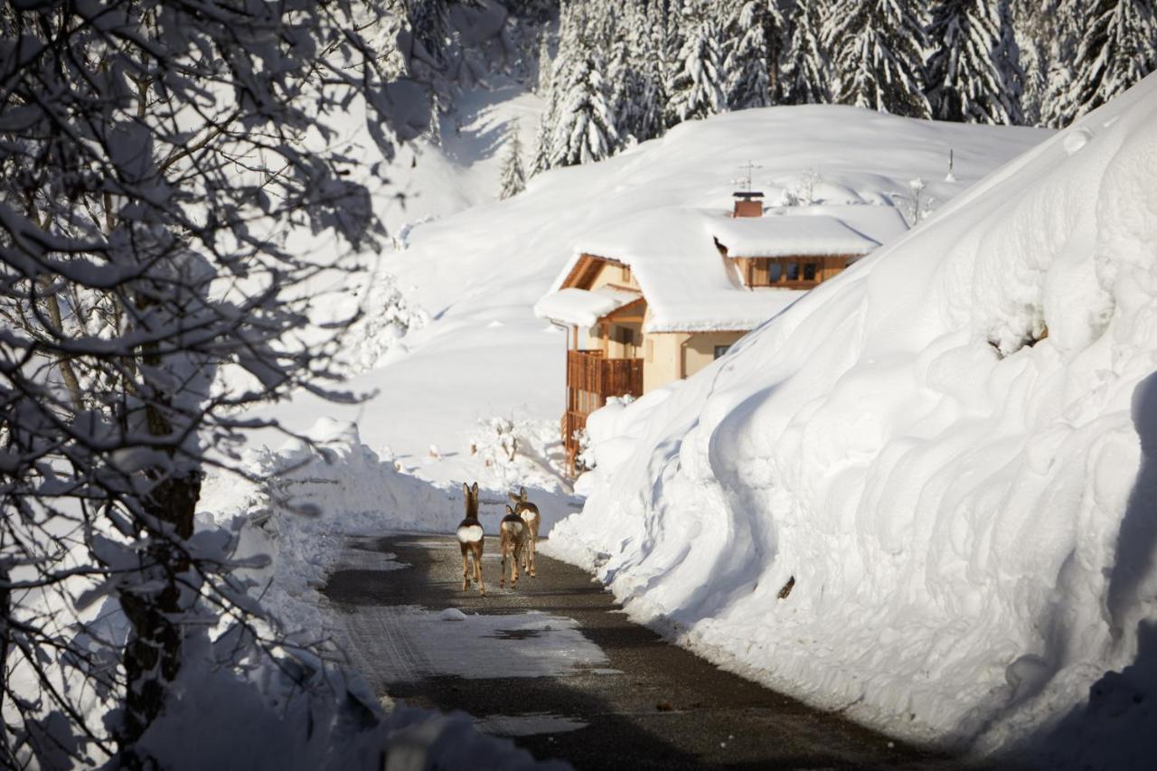 Sotciastel Antico Chalet Abtei Exterior foto